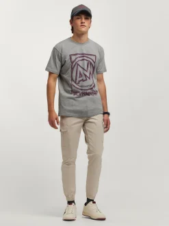 CAMISETA LOGO GRIS
