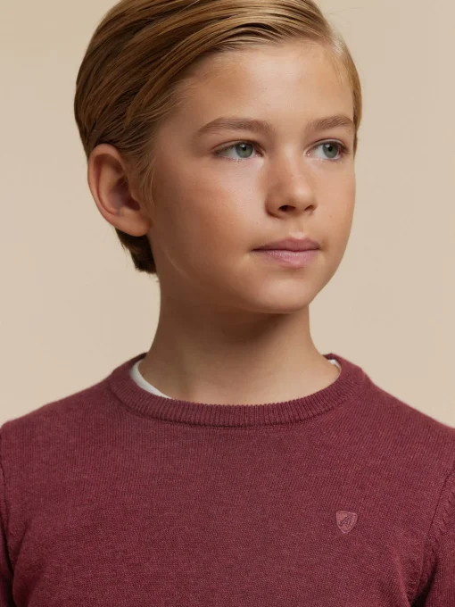 JERSEY ROUND NECK KIDS BURDEOS